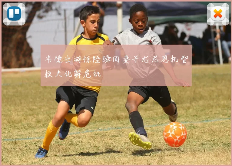 韦德出游惊险瞬间妻子尤尼恩机智救夫化解危机