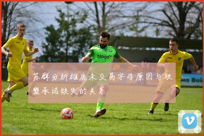 苏群分析雄鹿未交易字母原因与联盟承诺缺失的关系